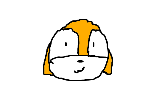 Ginger questionnaire