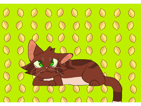 Tiddles