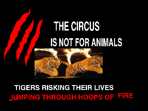 CIRCUS CRUELTY TAKE A STAND remix remix remix remix
