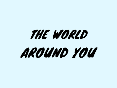 The World Around You