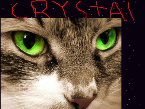 Crystal (the paladin RP)
