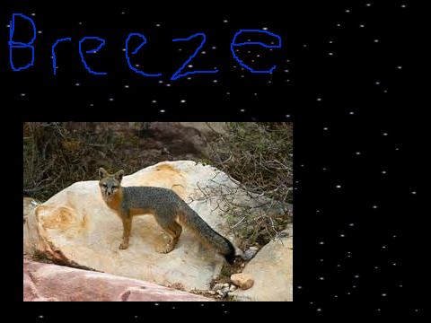 breeze