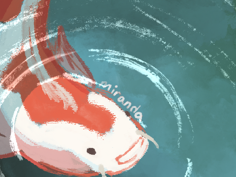 koi fish