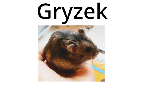 Gryzek