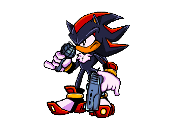 Shadow Test