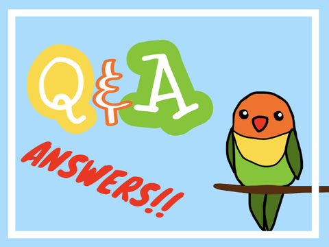Q&A ANSWERS!!