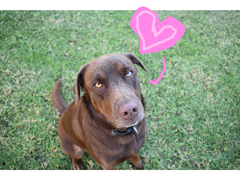 VALENTINES!