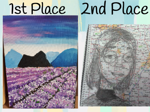 25+ followers art contest results