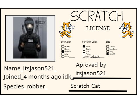 my scratch license remix