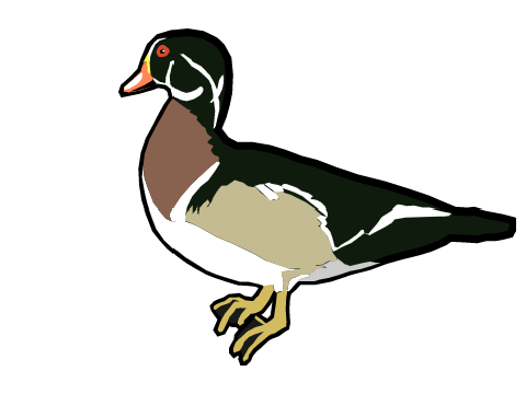 duck walk