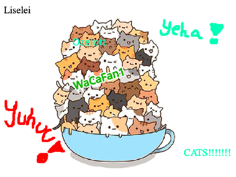 Remix if you like cats!!  remix