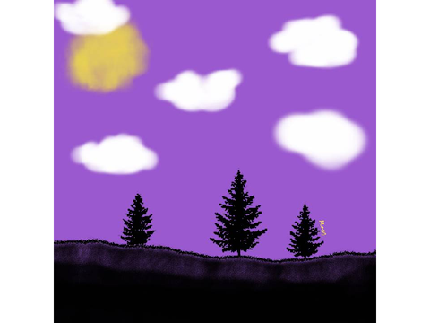 Hidden (?) Enby Flag