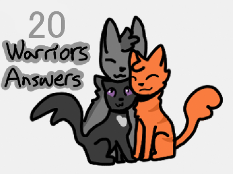 20 Warriors Answers