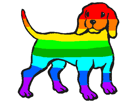 Rainbow Dog!