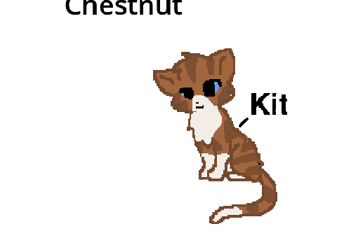 rain, binx, and chestnut!