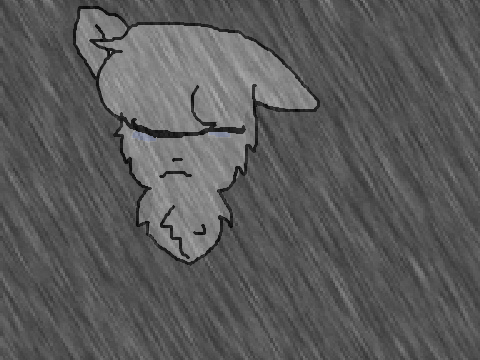 I'm leaving...