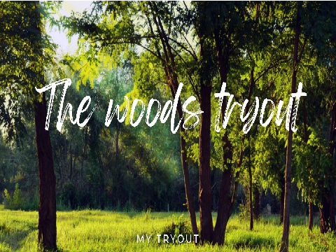  The Woods Tryouts remix