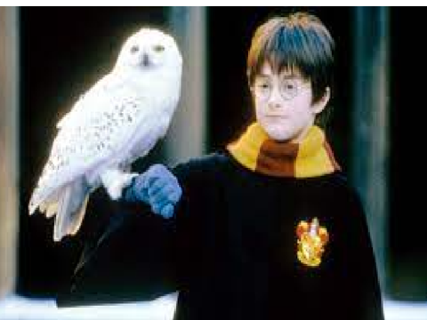 Harry Potter | Hedwig's Theme