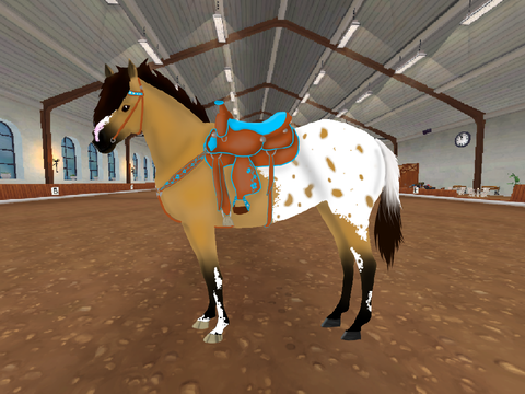 100+ Follower Horse Art Contest {OPEN} remix