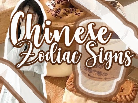 ✧ Chinese Zodiac Signs
