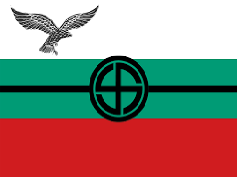 Bulgaria's new flag