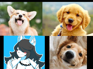 i like dogs