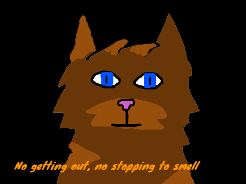 Tigerstripe's Regrets