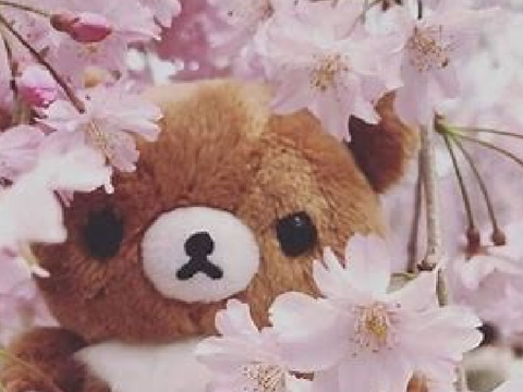 ♡                                  