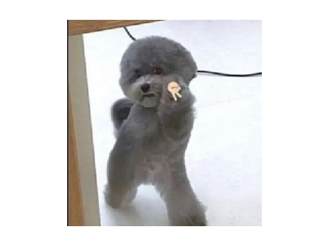 ğ