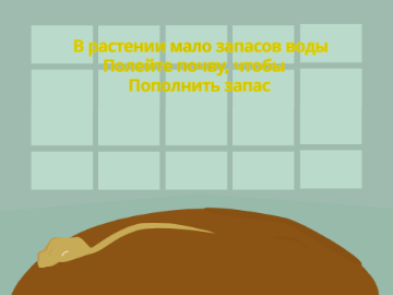 растение
