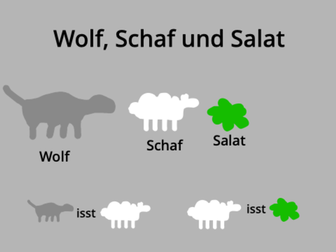 Wolf, Schaf und Salat