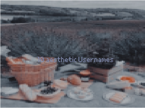 003 : Aesthetic Usernames