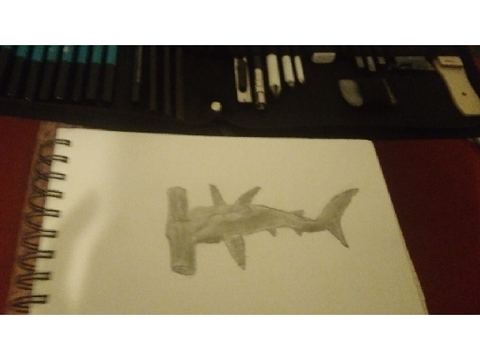 Non BIG Leg Sharky