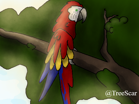 Art entry - Parrot