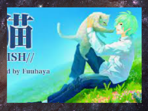 ふうはや/猫
