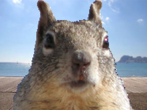 Squorrel