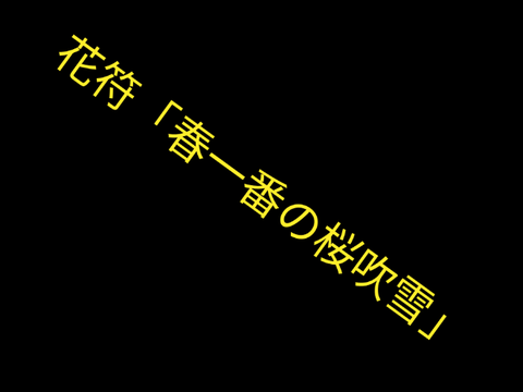自作弾幕③花符「春一番の桜吹雪」