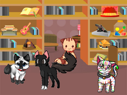 Cat shelter! ADOPT A CAT!