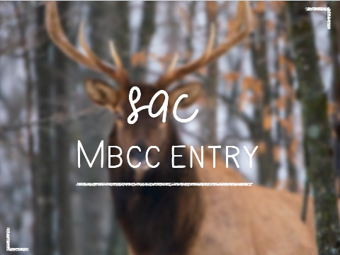 SAC mbcc entry