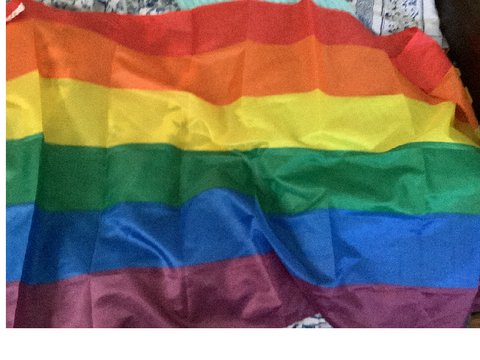 my pride flag came three days early >:)