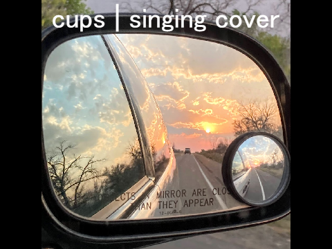 cups | singing cover