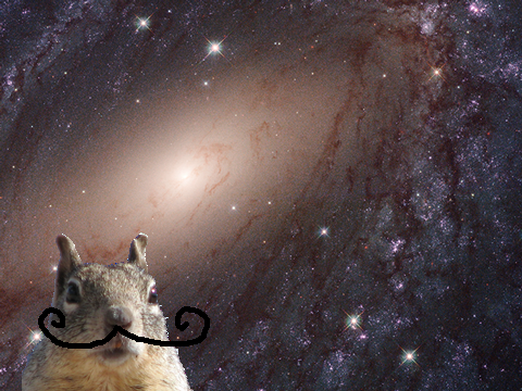 WISDOM SQURIL part1