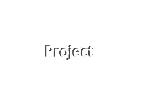 Project