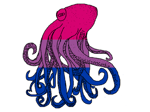 An octopus 