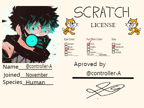 My scratch license
