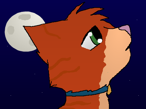 warrior cats doodle