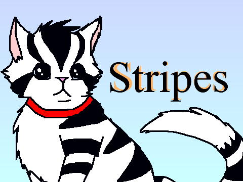 Kitten/Cat Creator V2! remix-3