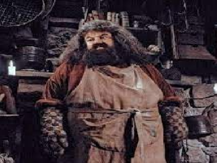 Wizards