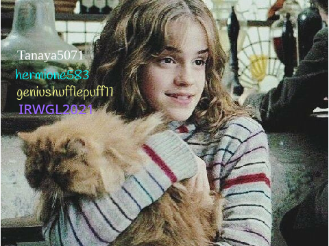 Sign if you like Hermione and Crookshanks remix remix remix