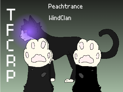 Peachtrance ref sheet